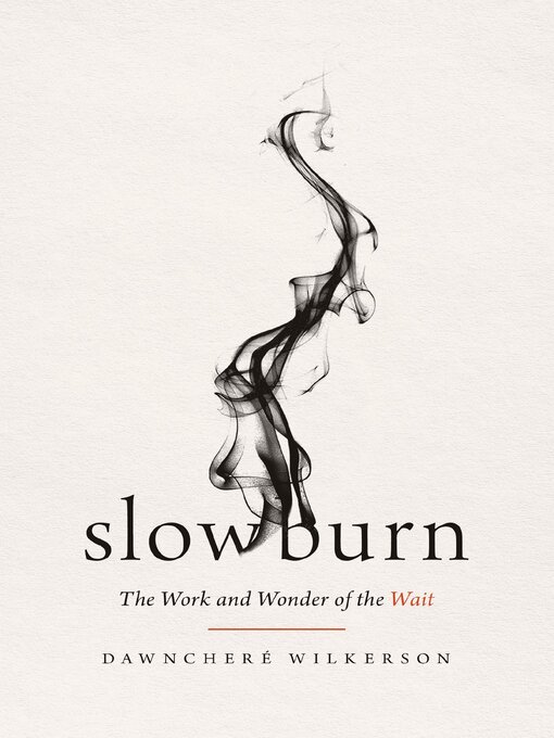 Cover image for Slow Burn